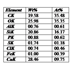 Pole tekstowe: Element	Wt%	At%
  CK	19.58	35.48
  OK	25.98	35.35
 AlK	00.76	00.61
 SiK	20.86	16.17
  PK	00.88	00.62
  SK	01.74	01.18
 ClK	00.74	00.46
 FeK	01.00	00.39
 CuK	28.46	09.75

