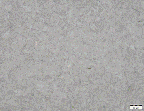 Obraz zawierajcy szary

Zawarto wygenerowana przez AI moe by niepoprawna.