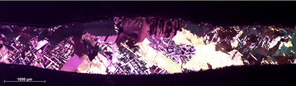 Obraz zawierający natura, zrzut ekranu, Magenta, fiołek
Zawartość wygenerowana przez AI może być niepoprawna.